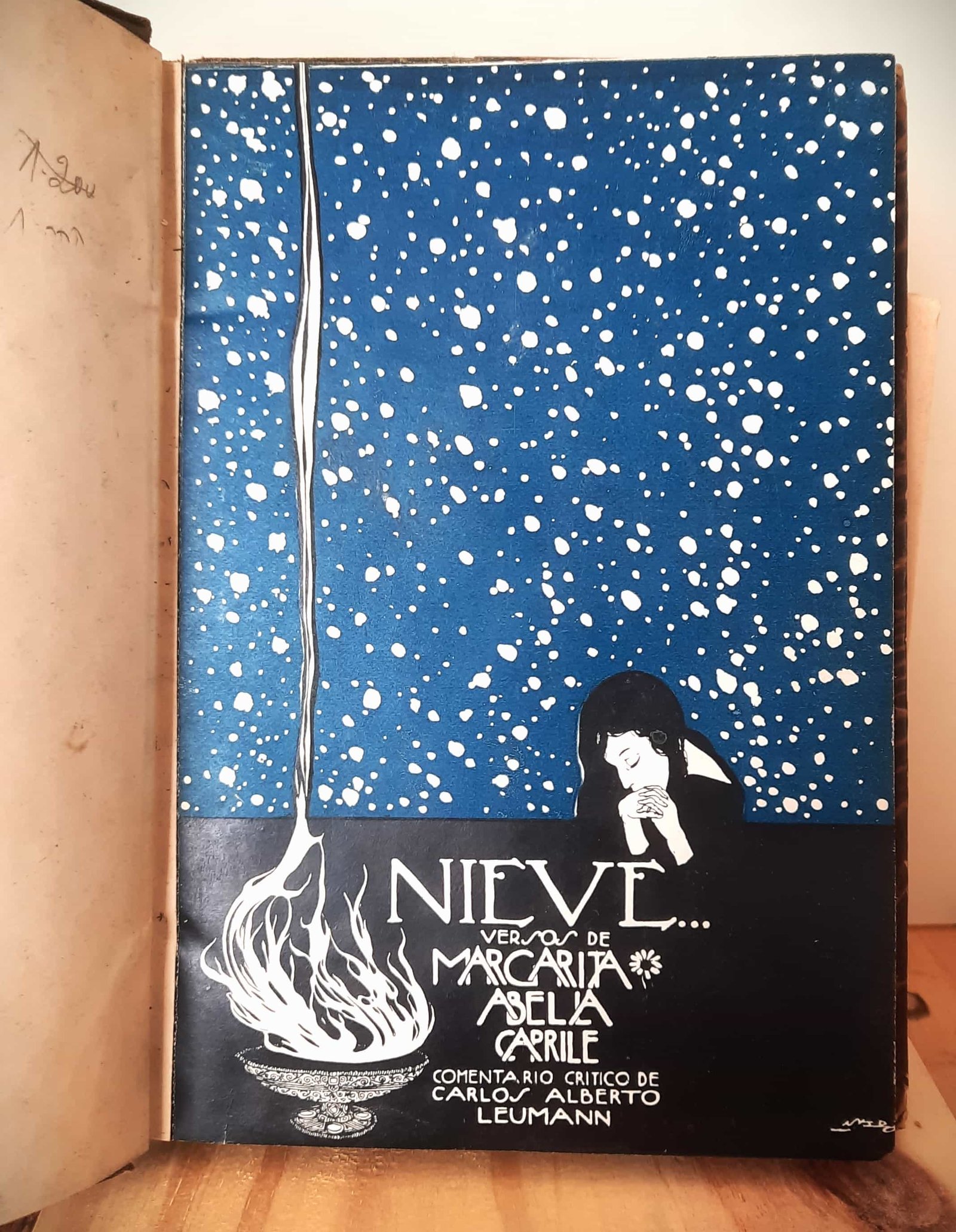 Portada de Nieve...