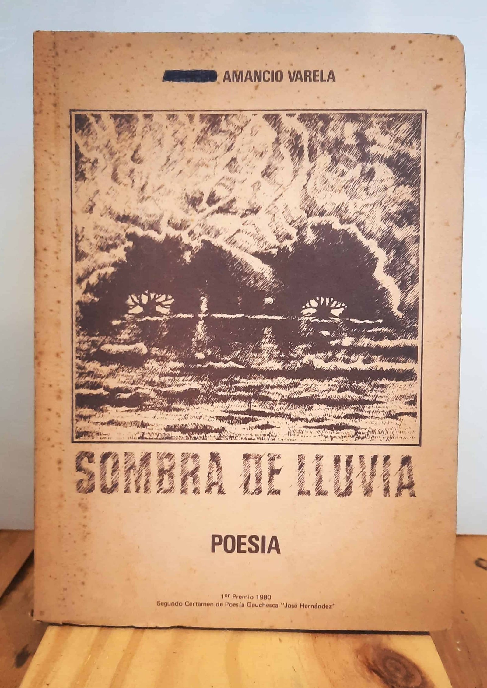 Portada de Sombras de lluvia